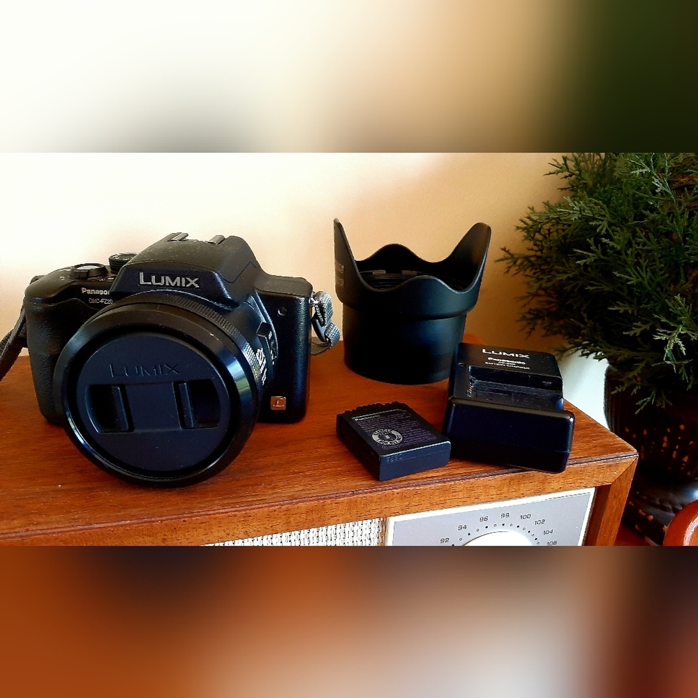 Panasonic Lumix DMC-FZ20 Digital Camera, Battery, Charger, Lens Cap, Lens Hood